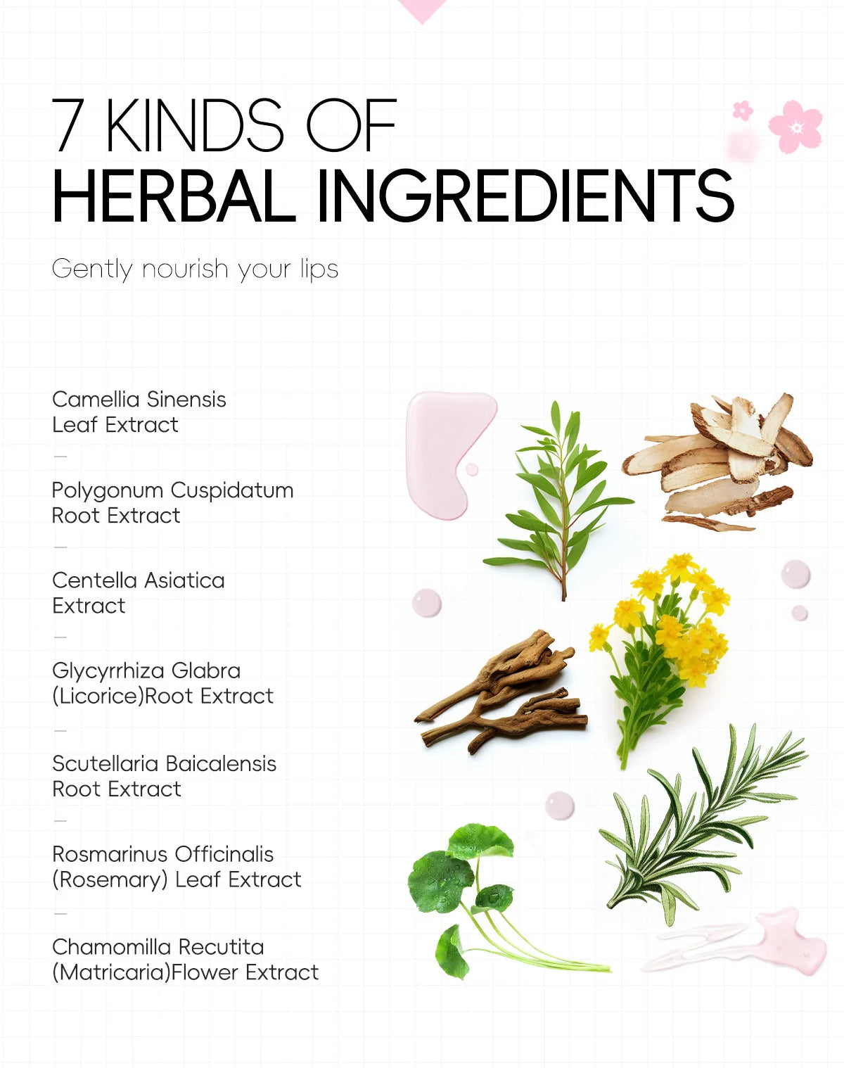 Masque pour les lèvres LAIKOU Sakura 6 g Hydratant