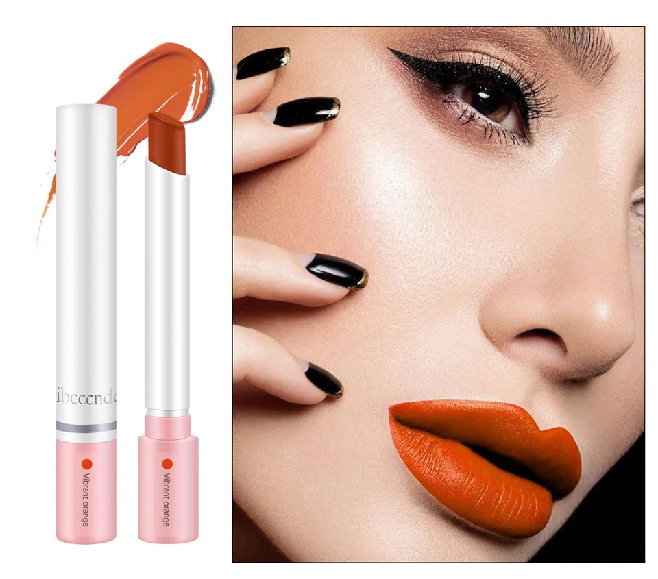 4 Couleurs Rouge à lèvres Cosmétiques Ensemble de rouge à lèvres Lip Tint Lip Gloss Waterproof Maquillaje Matte Long Lasting Make Up Pomade Kits