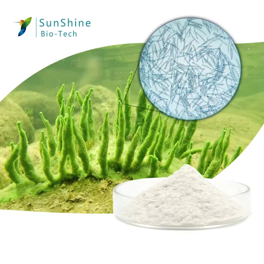 Kit de peeling blanchissant aux algues, masque naturel aux extraits de plantes.