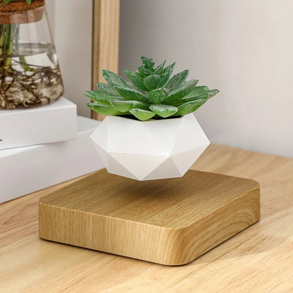 Cadeau Lévitation Magnétique En Pot Créatif Bonsaï DIY Pot De Fleurs Suspendu Plante Aérienne En Pot
