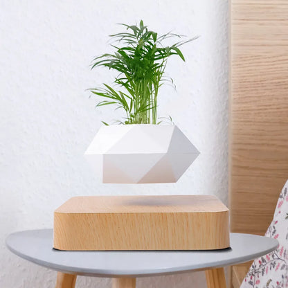 Cadeau Lévitation Magnétique En Pot Créatif Bonsaï DIY Pot De Fleurs Suspendu Plante Aérienne En Pot