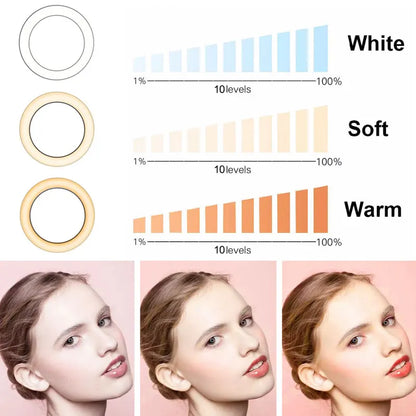 6,3 pouces LED Ring Lights Round Lamp Selfie Live Streaming USB Desktop Clip pour Youtube Macbook PC Ordinateur portable Tiktok Stream