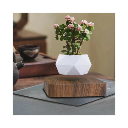 Cadeau Lévitation Magnétique En Pot Créatif Bonsaï DIY Pot De Fleurs Suspendu Plante Aérienne En Pot