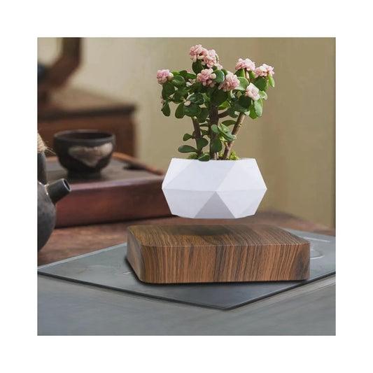 Cadeau Lévitation Magnétique En Pot Créatif Bonsaï DIY Pot De Fleurs Suspendu Plante Aérienne En Pot