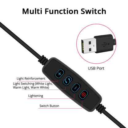 6,3 pouces LED Ring Lights Round Lamp Selfie Live Streaming USB Desktop Clip pour Youtube Macbook PC Ordinateur portable Tiktok Stream