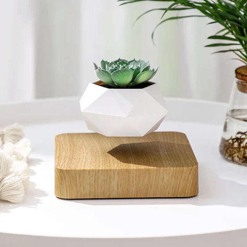 Cadeau Lévitation Magnétique En Pot Créatif Bonsaï DIY Pot De Fleurs Suspendu Plante Aérienne En Pot