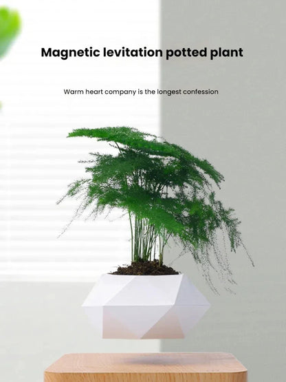Cadeau Lévitation Magnétique En Pot Créatif Bonsaï DIY Pot De Fleurs Suspendu Plante Aérienne En Pot
