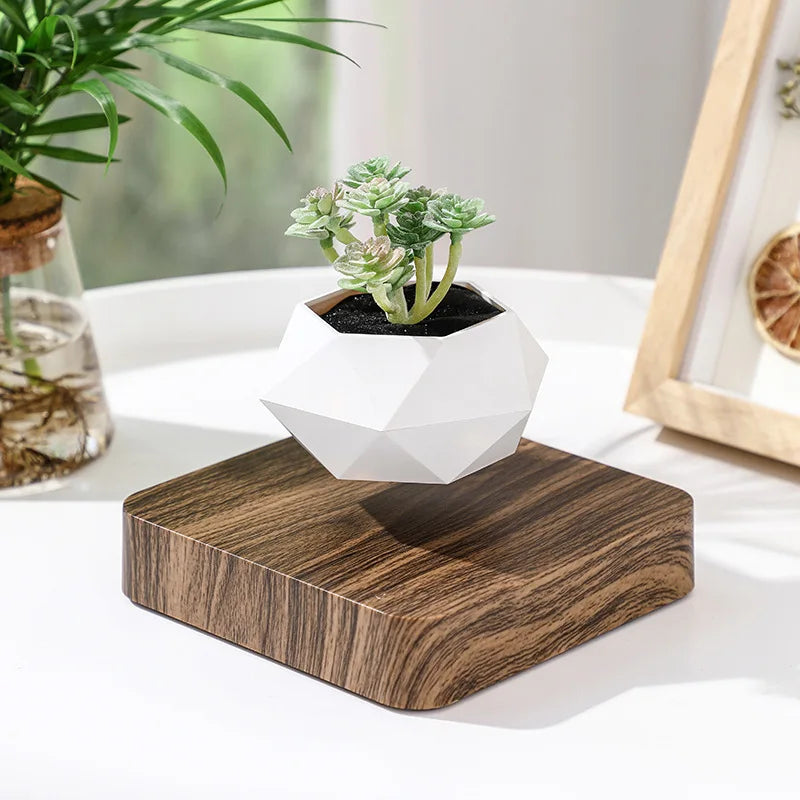 Cadeau Lévitation Magnétique En Pot Créatif Bonsaï DIY Pot De Fleurs Suspendu Plante Aérienne En Pot