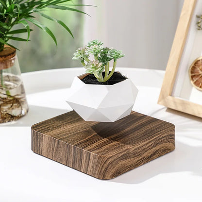 Cadeau Lévitation Magnétique En Pot Créatif Bonsaï DIY Pot De Fleurs Suspendu Plante Aérienne En Pot