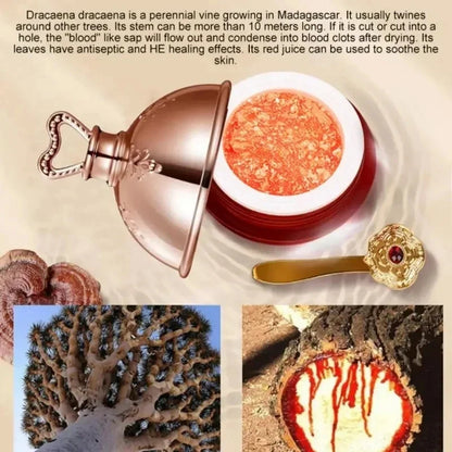 Dragon’s Blood Face Cream Retinol Placenta Essence Brightening Lift Raffermissant Soins de la peau Cosmétiques coréens