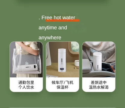 Bouilloire électrique de voyage 500ML Eau à ébullition rapide Chauffe-lait portable pour bébé Bouilloire thermo en acier inoxydable 304