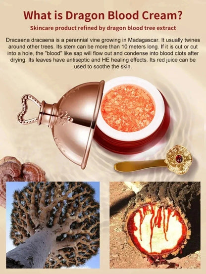 Dragon’s Blood Face Cream Retinol Placenta Essence Brightening Lift Raffermissant Soins de la peau Cosmétiques coréens