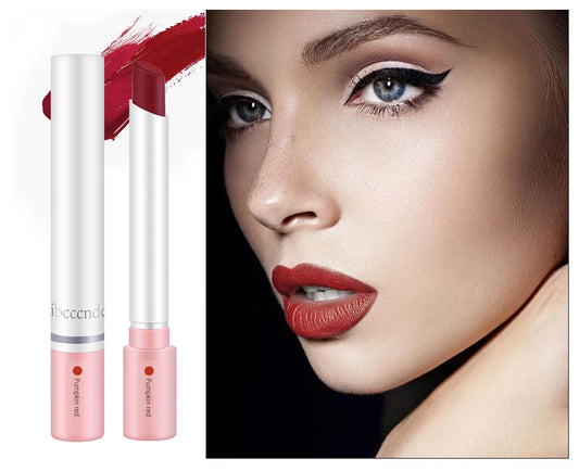 4 Couleurs  Rouge à lèvres Cosmétiques Ensemble de rouge à lèvres Lip Tint Lip Gloss Waterproof Maquillaje Matte Long Lasting Make Up Pomade Kits
