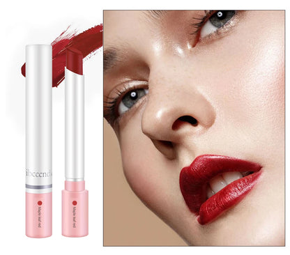 4 Couleurs  Rouge à lèvres Cosmétiques Ensemble de rouge à lèvres Lip Tint Lip Gloss Waterproof Maquillaje Matte Long Lasting Make Up Pomade Kits