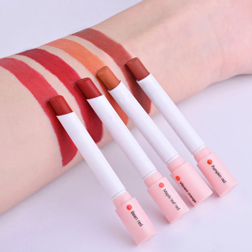 4 Couleurs  Rouge à lèvres Cosmétiques Ensemble de rouge à lèvres Lip Tint Lip Gloss Waterproof Maquillaje Matte Long Lasting Make Up Pomade Kits