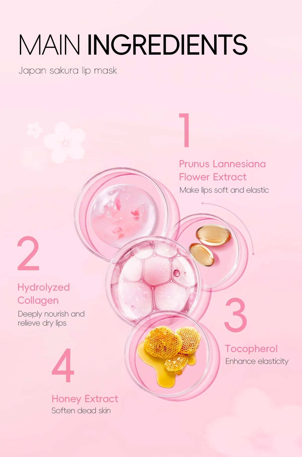 Masque pour les lèvres LAIKOU Sakura 6 g Hydratant